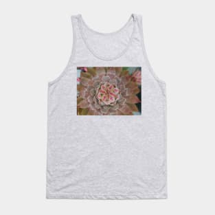 Sempervivum Bird Eye Arial View Tank Top